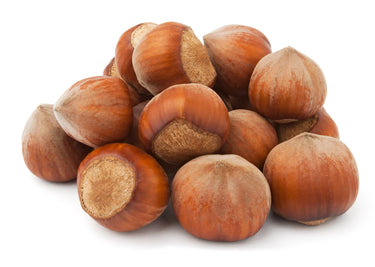 Hazelnoten in de dop uit Polen