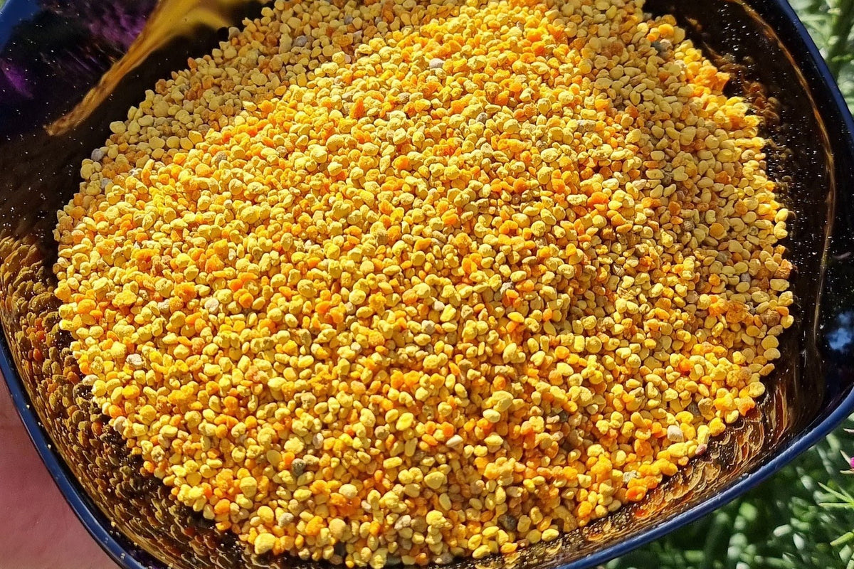 Bijenpollen in een schaaltje